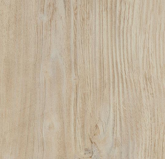 bleached rustic pine 60084DR7
