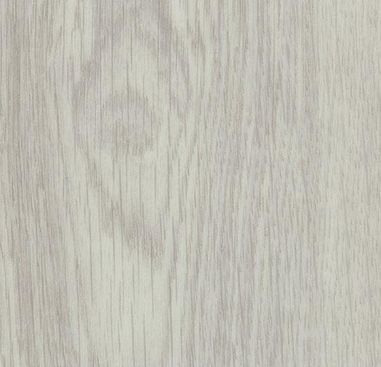 white giant oak 60286DR7