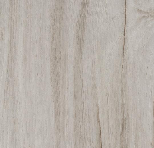 whitened oak 60301DR4