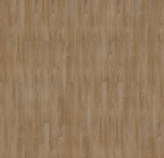 light timber 63416DR5 - Afbeelding 2