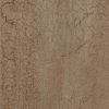 bronzed oak 63422DR5