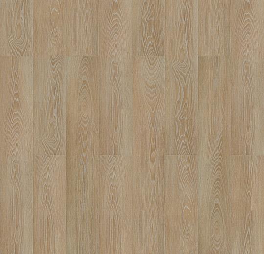 blond timber 63412CL5 - Afbeelding 2