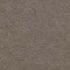 taupe sand 62485CL5