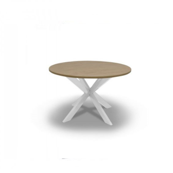 Ronde Tafel Ø120 cm – met robuuste stervoet - Afbeelding 2