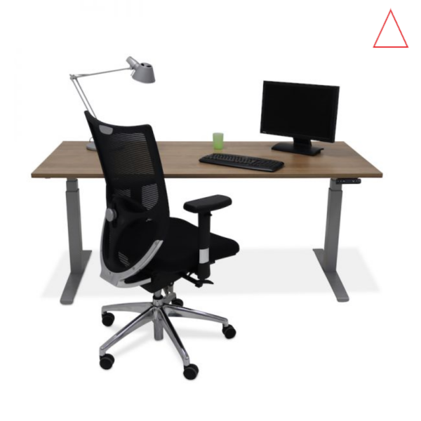 HOLA Elektrisch Verstelbaar Bureau met Memory Display