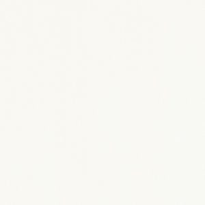 Unilin Clicwall MDF 00025 W03 Front white 70% PEFC gecert. - MD-Projecten