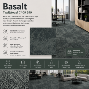 Basalt 699 Tapijttegels